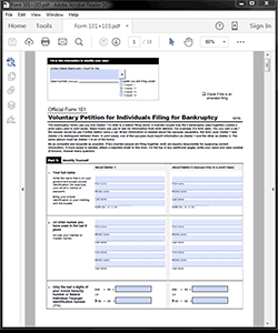 Attorney / Paralegal Software Bankruptcy Form 101