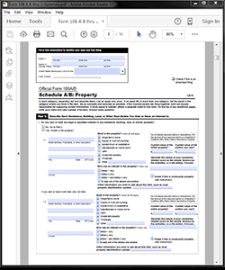 Attorney / Paralegal Software Personal Bankruptcy Form 106