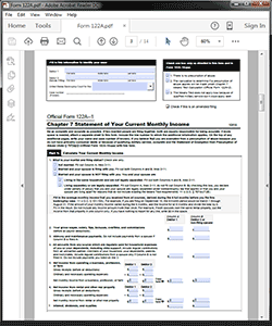 Attorney / Paralegal Software Bankruptcy Form 122